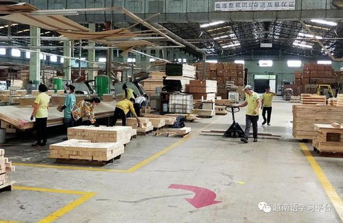 越南平阳上千工人集体停工,反对公司消减第13个月工资,像是中资企业